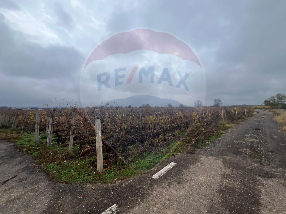 Teren intravilan 2727mp Carligele / Strada Tulceanu