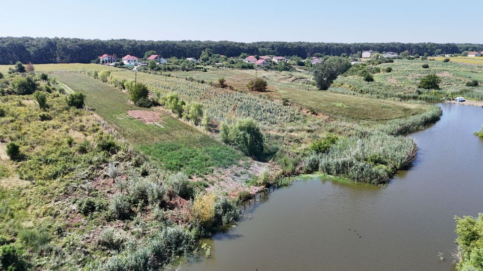 Land 5,000sqm Ciofliceni / Strada Radu cel Mare