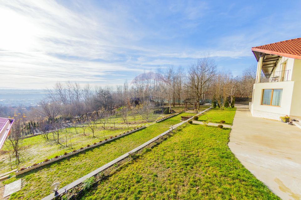 VILA DE VIS CU TEREN GENEROS, DE VANZARE