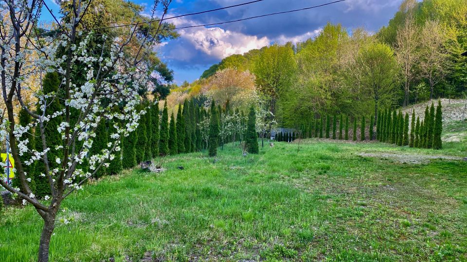 6 room Hotel / Pension for sale