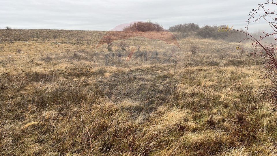 Land 544sqm Padureni (Chinteni) / Strada Principala