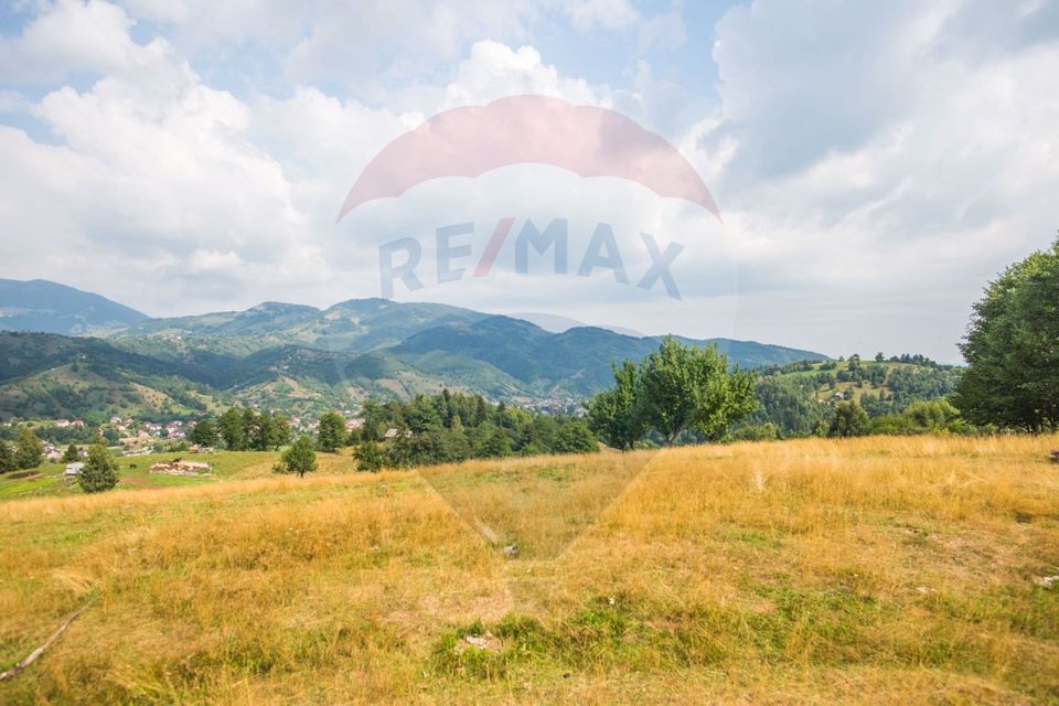 Teren extravilan Moieciu 45316mp