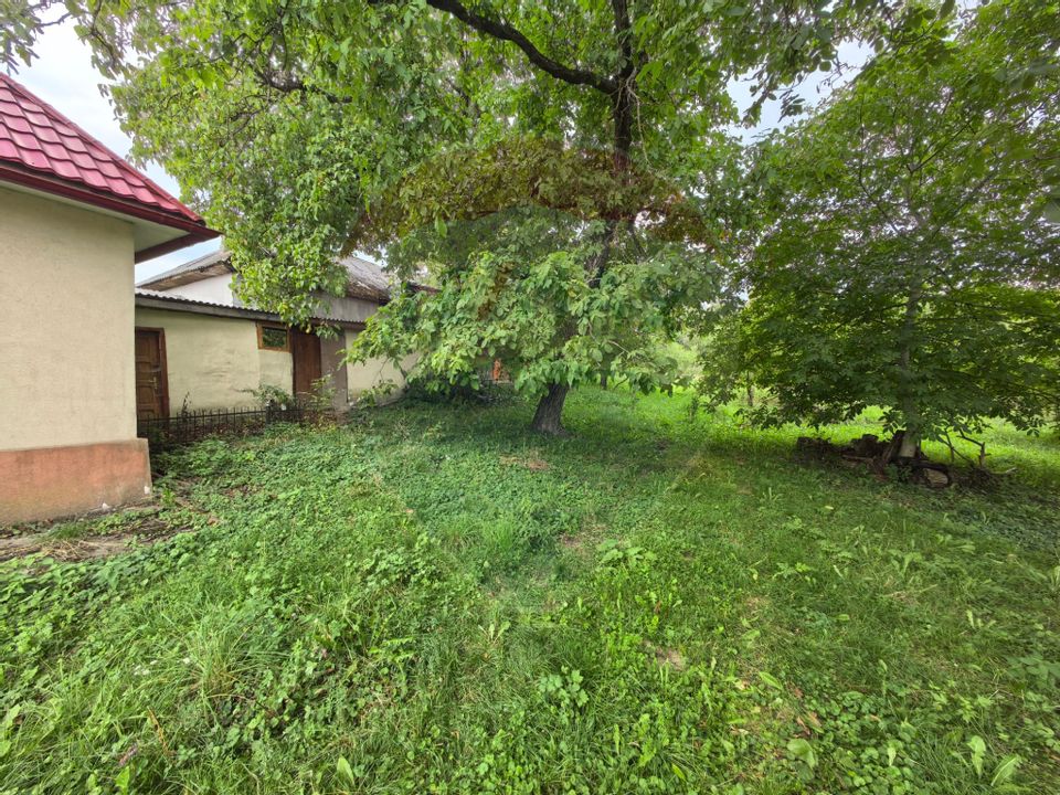 Casa traditionala De Vanzare cu 5 Hectare de teren