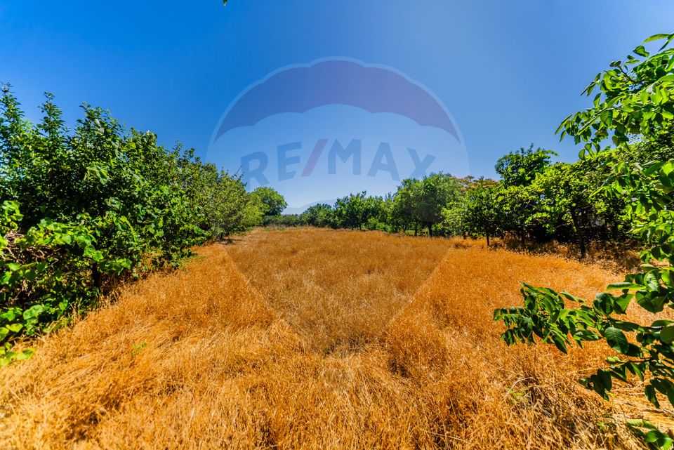 3 room House / Villa for sale, Gai area