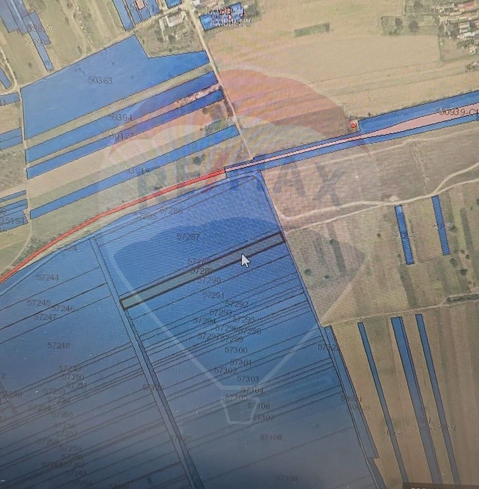 Teren 5,000mp Moara Vlasiei / None