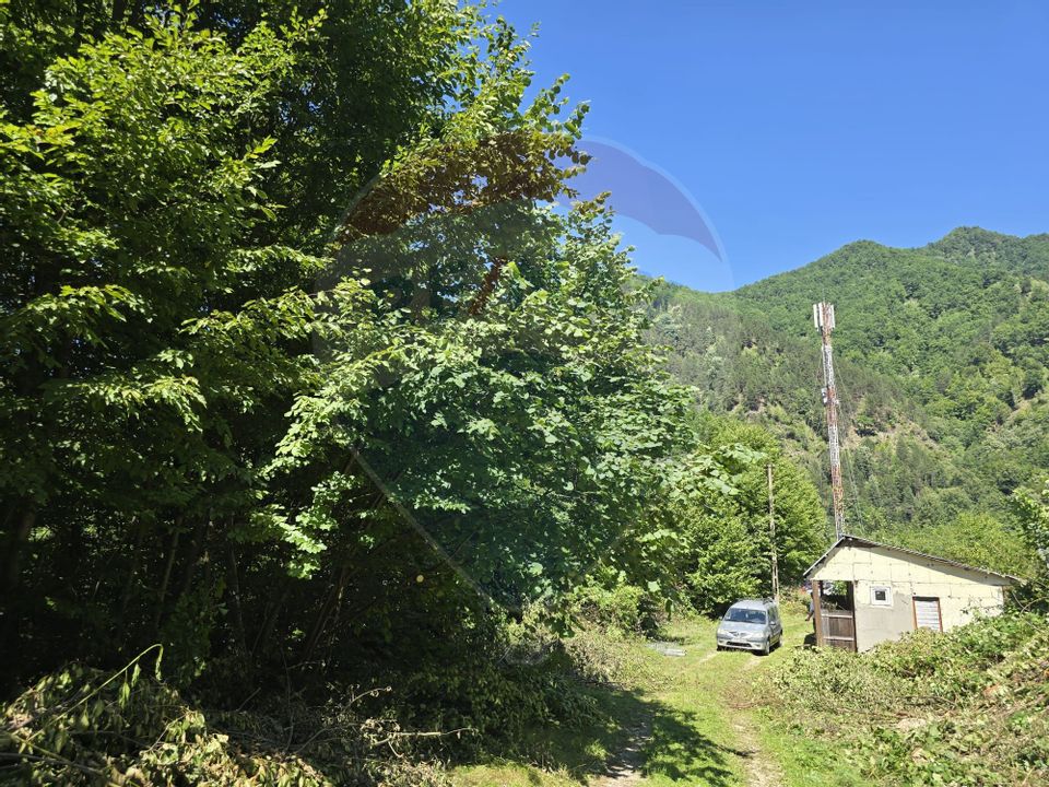 Teren 4,000mp Pascoaia / Soseaua Punctul Chiliilor