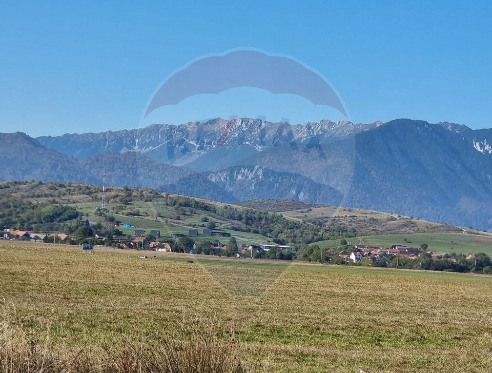 Teren Tohanu Nou, intrare Sohodol, 4800mp