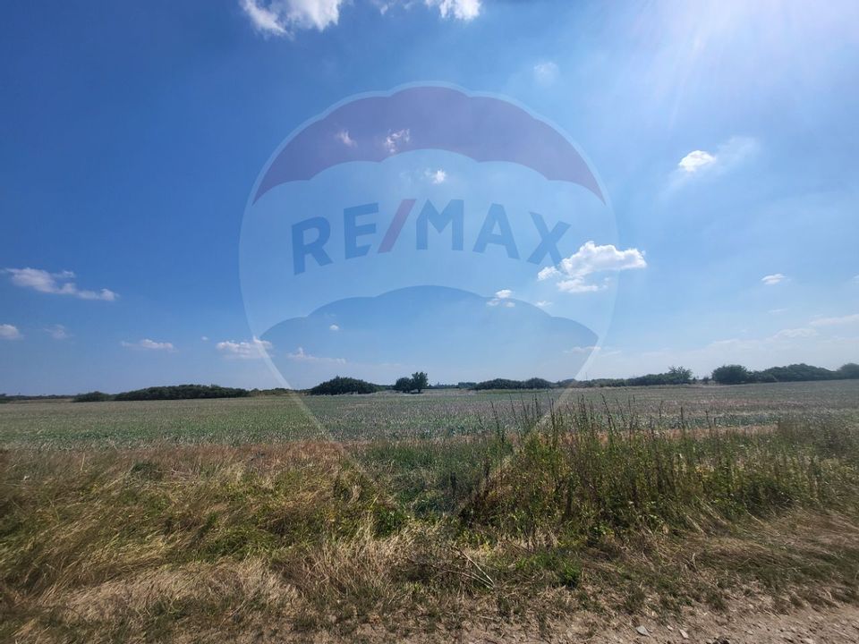 Land 31,800sqm Arad / DN ARAD-PECICA