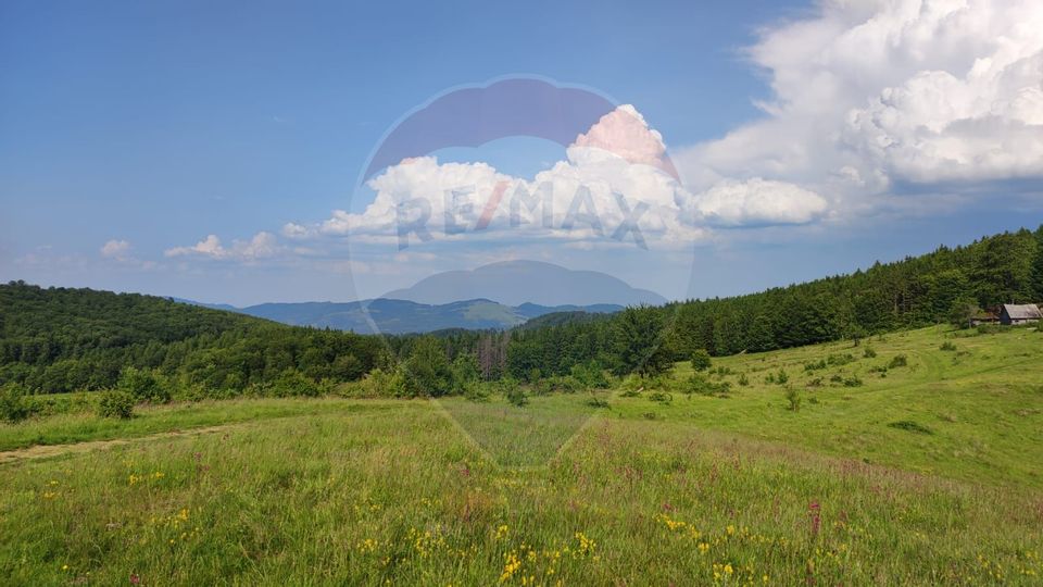 Teren 130000 mp extravilan Munteni - Bulz, Negreni