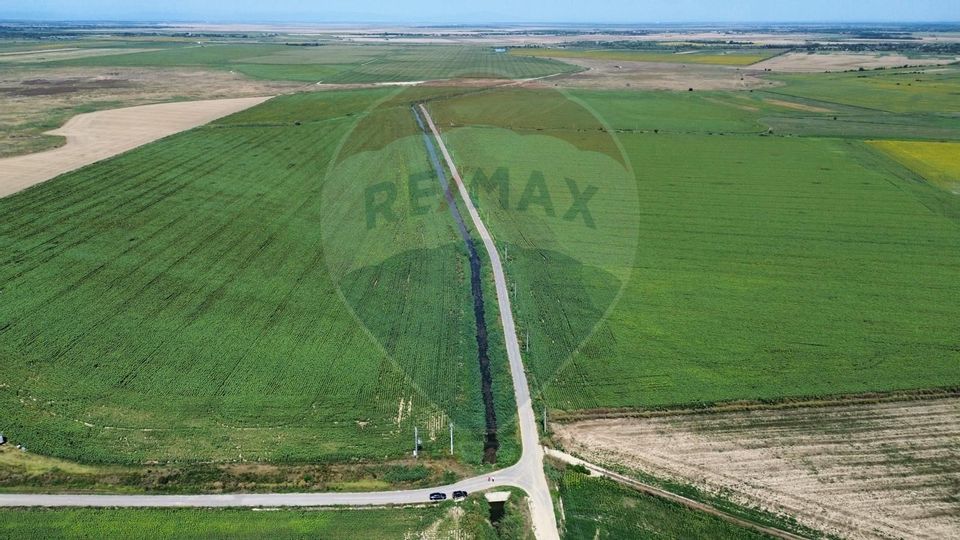 Teren 500 h plus 1000h arenda Vrancea