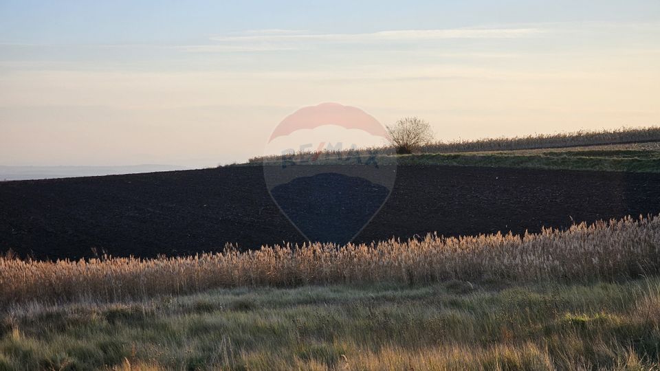 Land 30,077sqm Stroiesti / Soseaua DN17