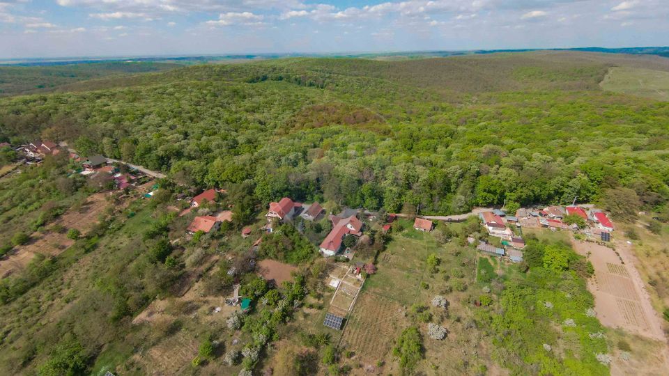 De vânzare casă și teren 1.425 mp - Podgoria