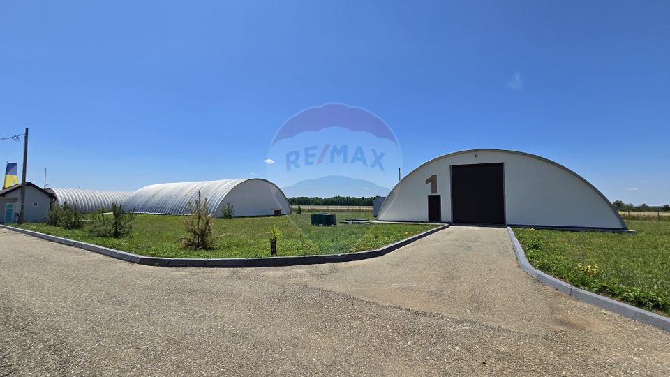 DE VANZARE | Hale | 1407mp | Teren 9344 | Potigrafu