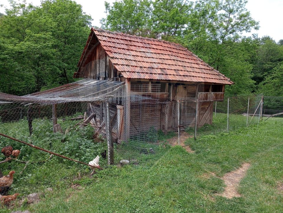 Vanzare casa  4 camere-microferma, cu panouri fotovoltaice