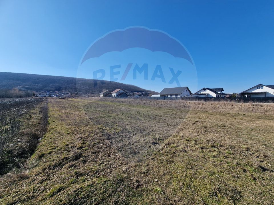 Teren Intravilan de Vânzare în Hemeiuș