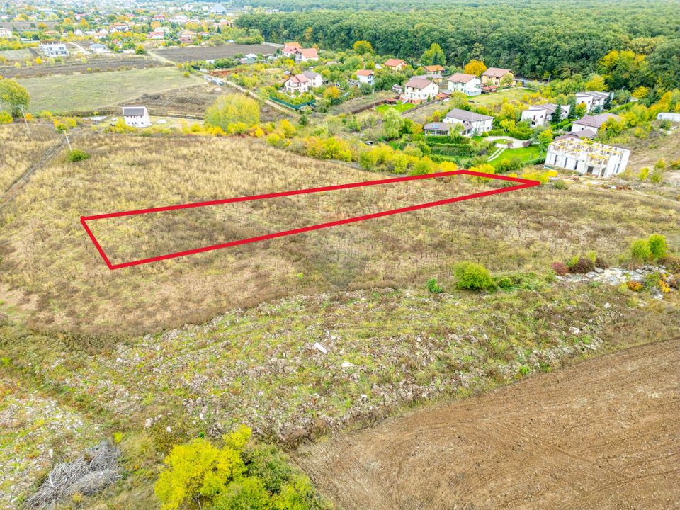 Land 2,987sqm Ciofliceni / Strada Radu cel Mare