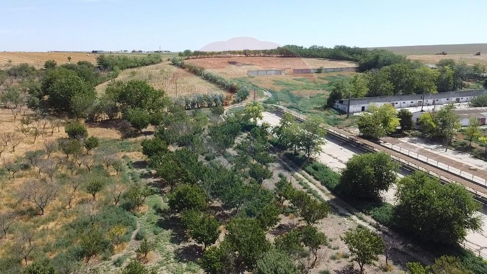 Teren si Ferma de vanzare in loc. Cobadin