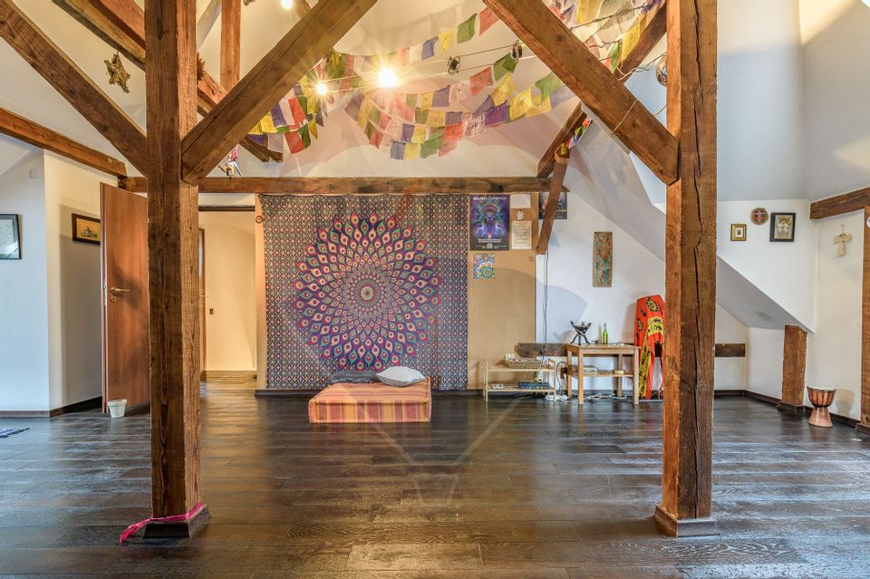 Doua case | Teren 290 mp | Ideal Locuinta & Afacere | Investitie