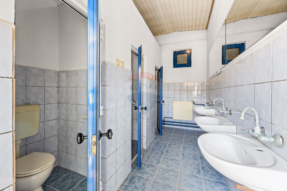 Hala industriala de inchiriat zona centrala, Aradul Nou