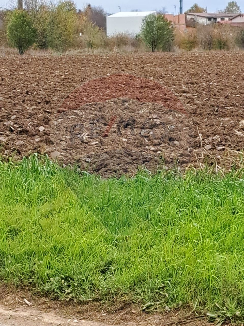 Vanzare teren intravilan construibil Corbeanca, Ostratu, Strada Scolii