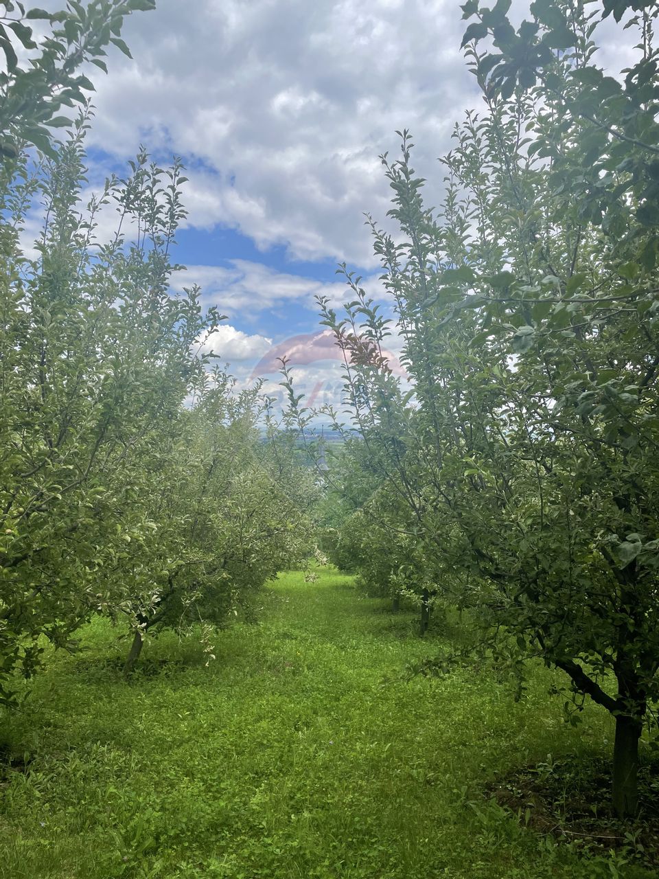 Teren/livada pentru locuit/cabana in Moldovenesti