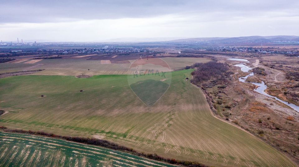 Land 310,000sqm Catunu (Berceni) / Intrarea tarla 17