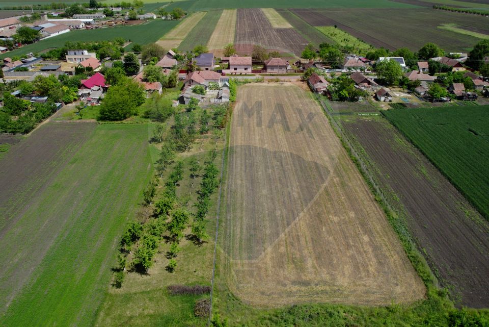 Teren intravilan 5,018mp Variasu Mare - 15 km de Arad/ str. Principală
