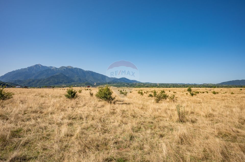 Land 23,000sqm Rasnov / Strada Glajerie-Raul Mare