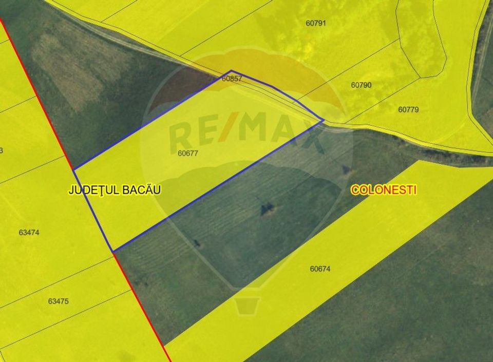 20 ha terenuri agricole de vanzare in Bacau