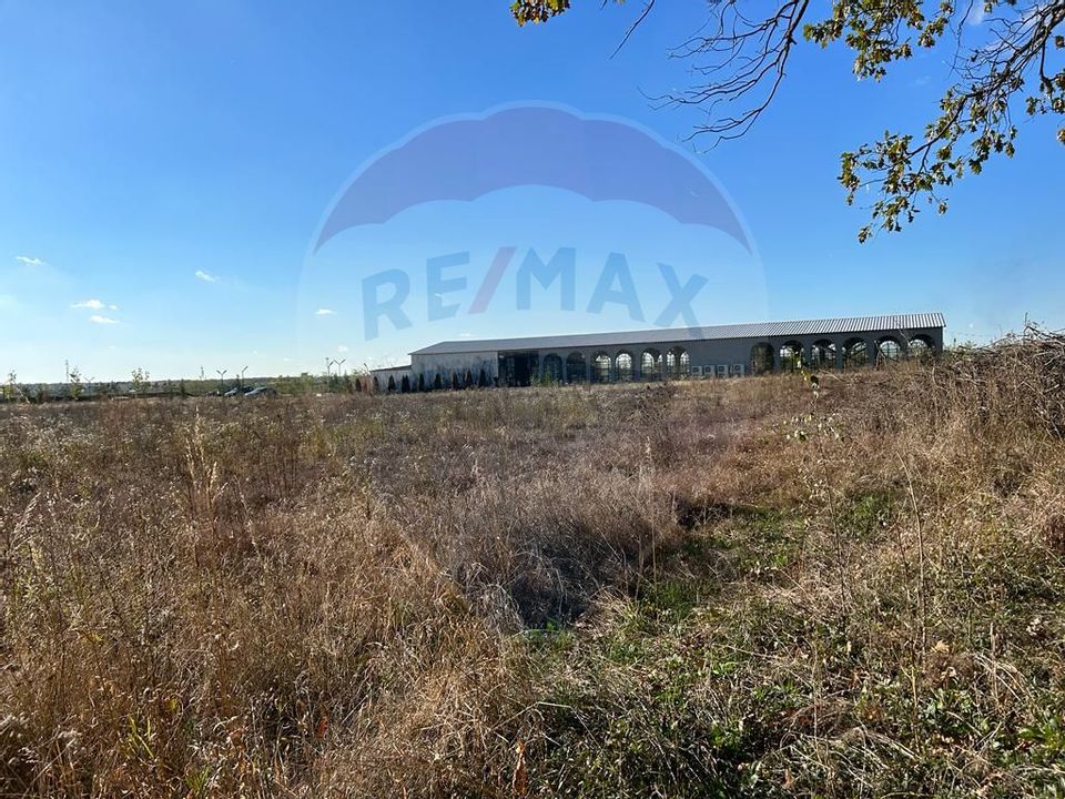 Land 4,050sqm Ciolpani / Strada Plopului