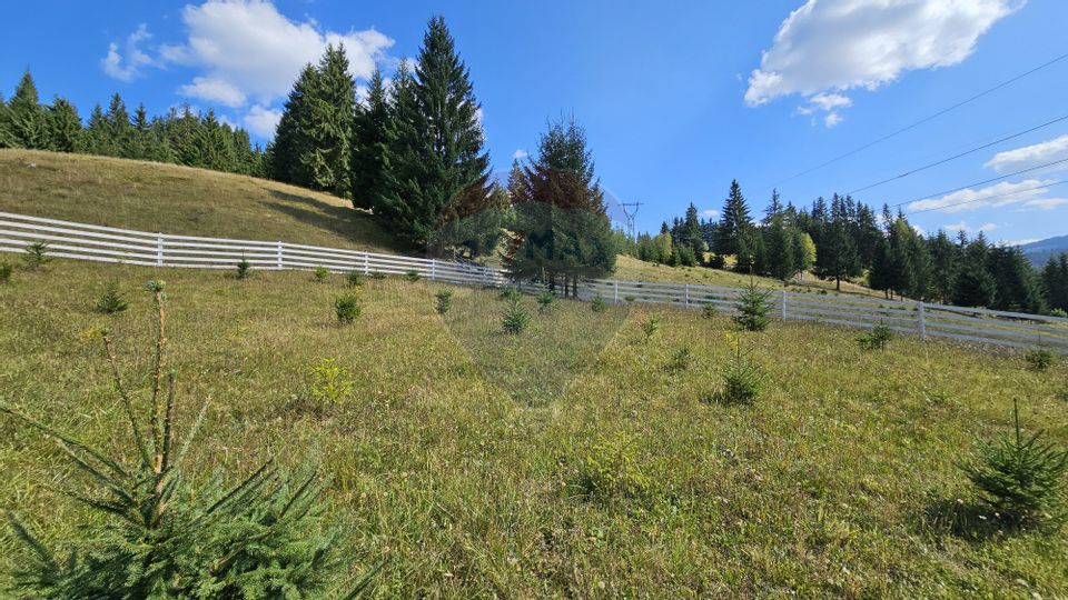 Casă / Vilă de vacanta in Dorna Arini, Suceava