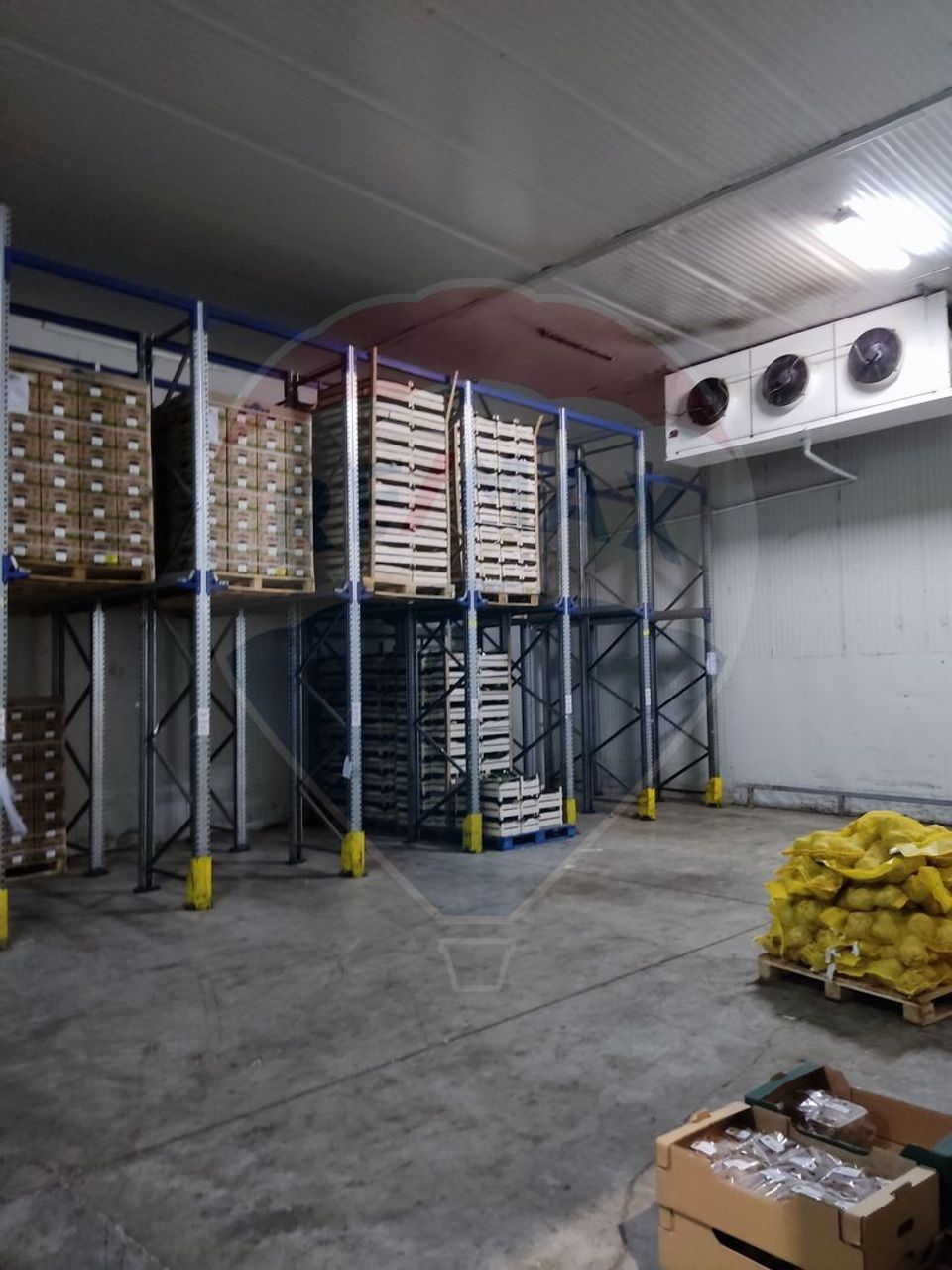 Depozit frigorific  hala ideal legume, fructe, flori