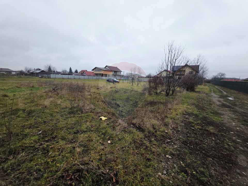 Teren 519mp Dumbrava Rosie / Strada CRANGULUI