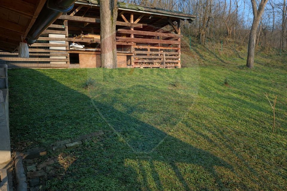 Popasul Căprioara – oportunitate de business în horeca & turism