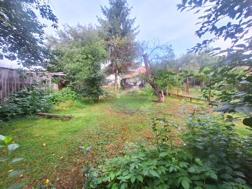 Casă cu grădină superbă – o oază verde în Sibiu