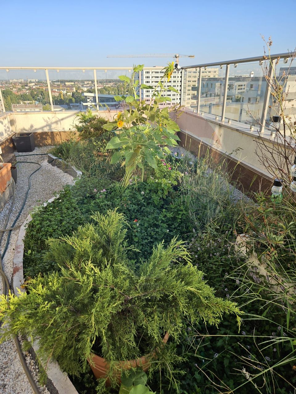 Apartment for sale | 4 rooms and 3 terraces |  Morii Lake Area