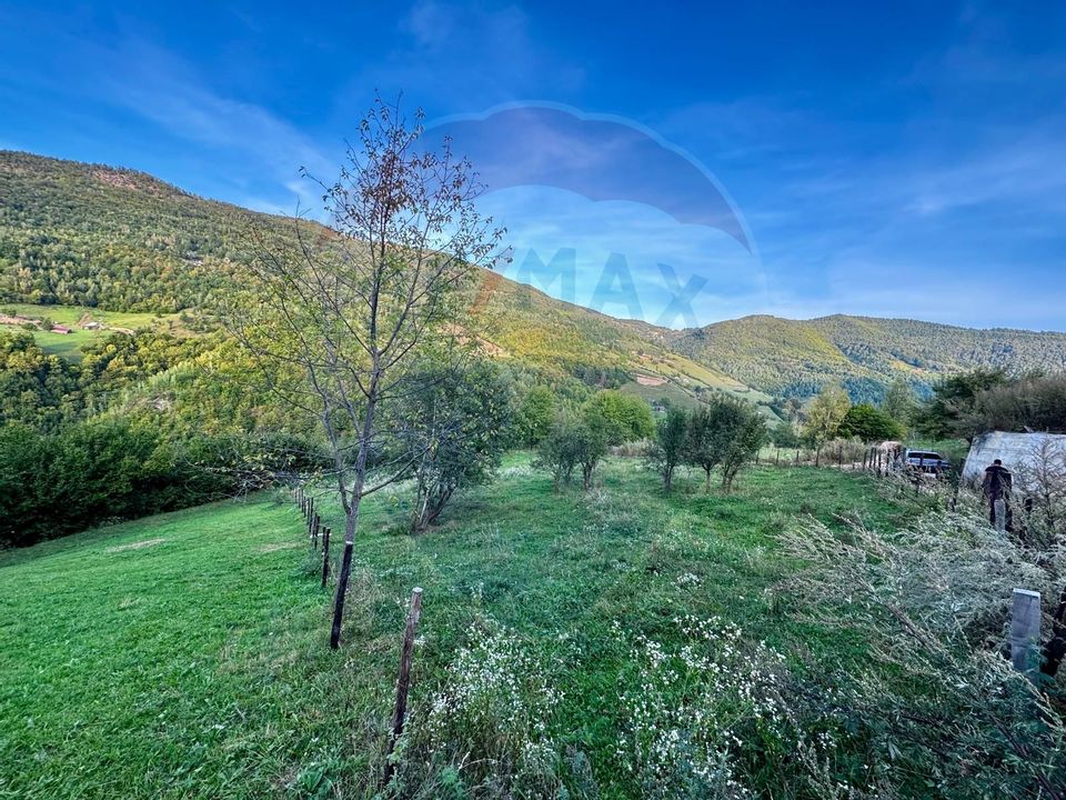 Teren 1812 mp de vânzare | Muntele Rece, cadru liniștit, Comision 0%