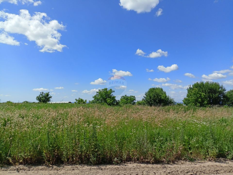 COMISION 0%! Teren 712mp Sacele / Strada Postavarului