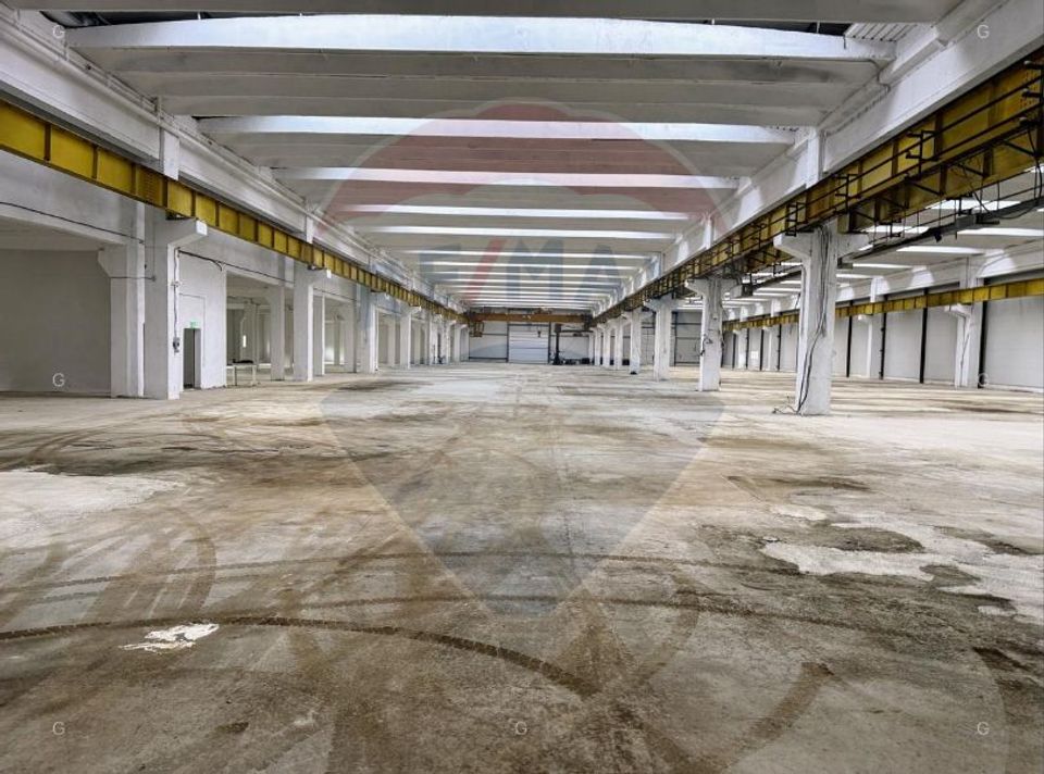 Hală producție/logistică cu poduri rulante-zona Avrig-Inchiriere