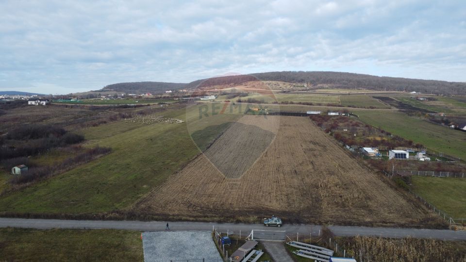 Teren 19.375 mp Dâmbu Rotund. Potențial rezidențial. Extravilan