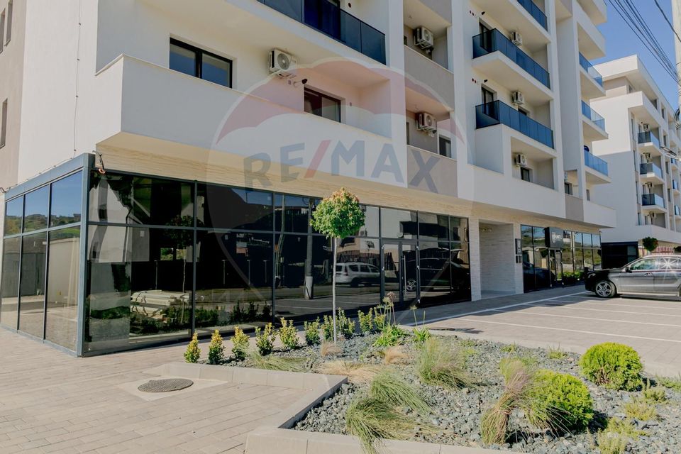 Apartament 1 camera, de vânzare, Vișan