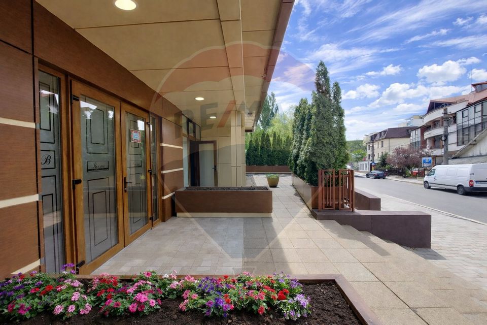 370sq.m Commercial Space, Alecu Russo area