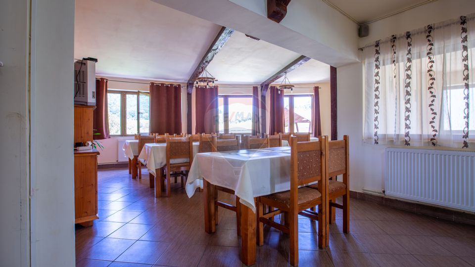 Hotel / Pensiune cu 10 camere de vânzare/Vama Buzaului