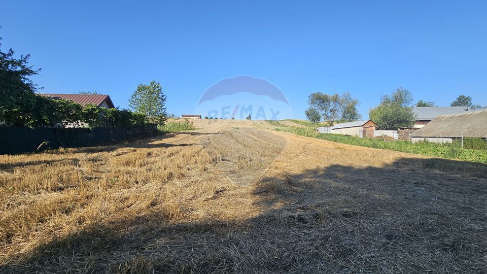 Land 7,500sqm Moara Carp / Strada Eternitatii