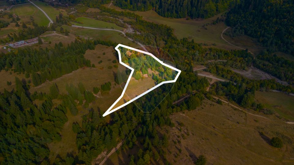 Land 18,900sqm Sacele / Strada fara nume