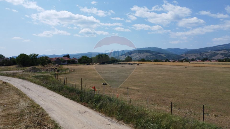 Teren industrial 5.000 mp Vintu de Jos – amplasament strategic