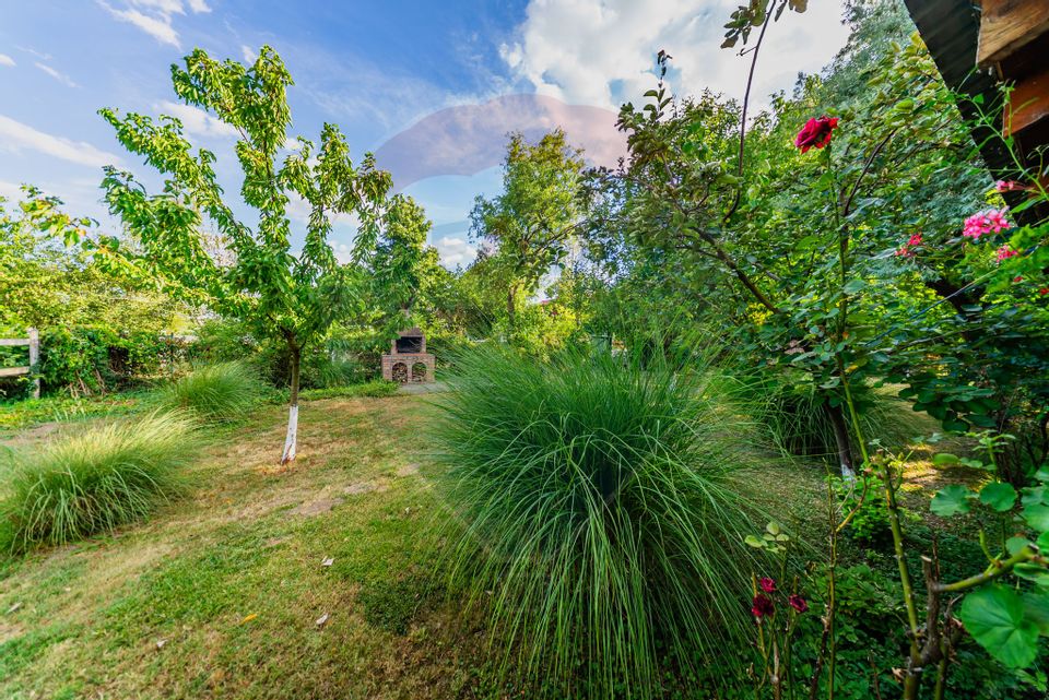 Land 4,000sqm Zadareni / Drumul Drumul principal