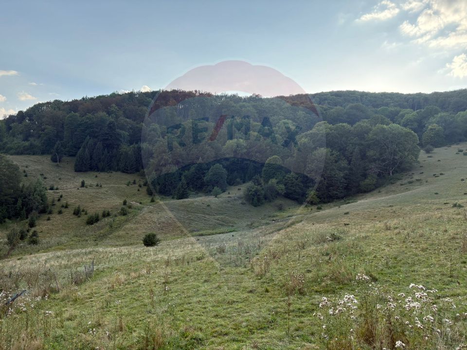 TEREN EXCLUSIV PENTRU INVESTIȚIE ÎN ZONĂ DE AGREMENT – BRAȘOV, DN 1E