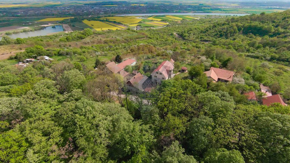 De vânzare casă și teren 1.425 mp - Podgoria