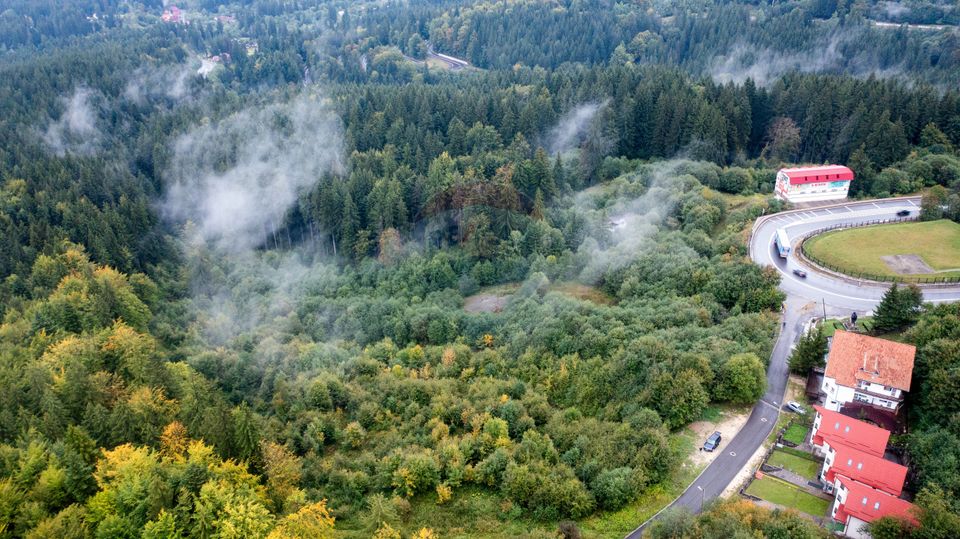 Land 3,969sqm Predeal / Strada Mihail Saulescu